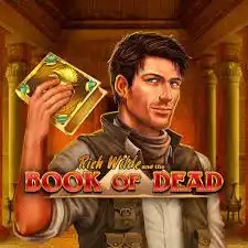 Book of Dead casino game by Play'n GO – featured logo at 1Redbet