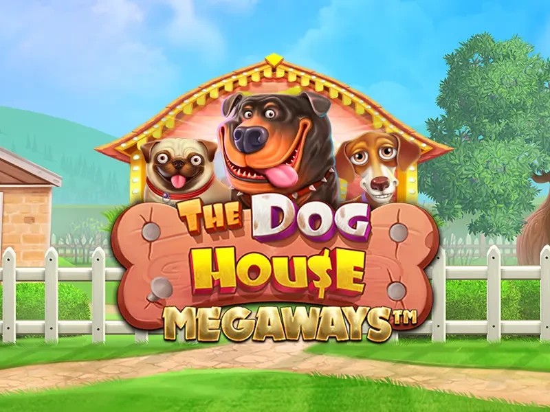 Play the The Dog House Megaways slot by Pragmatic Play on 1Redbet